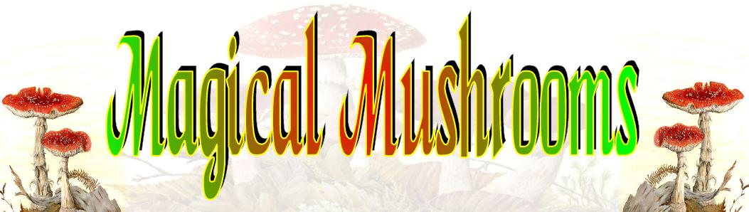 Magical Mushrooms